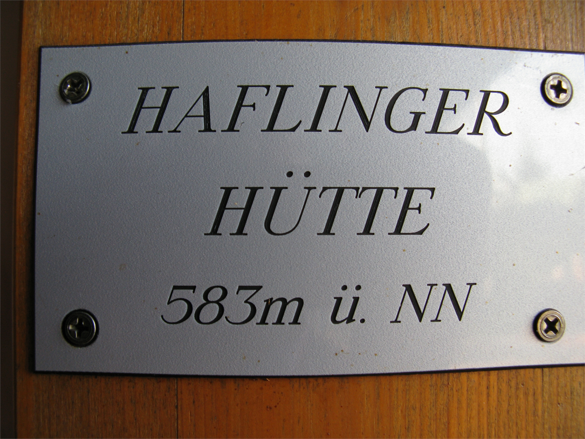 2016-haflinger-hc3bctte-25