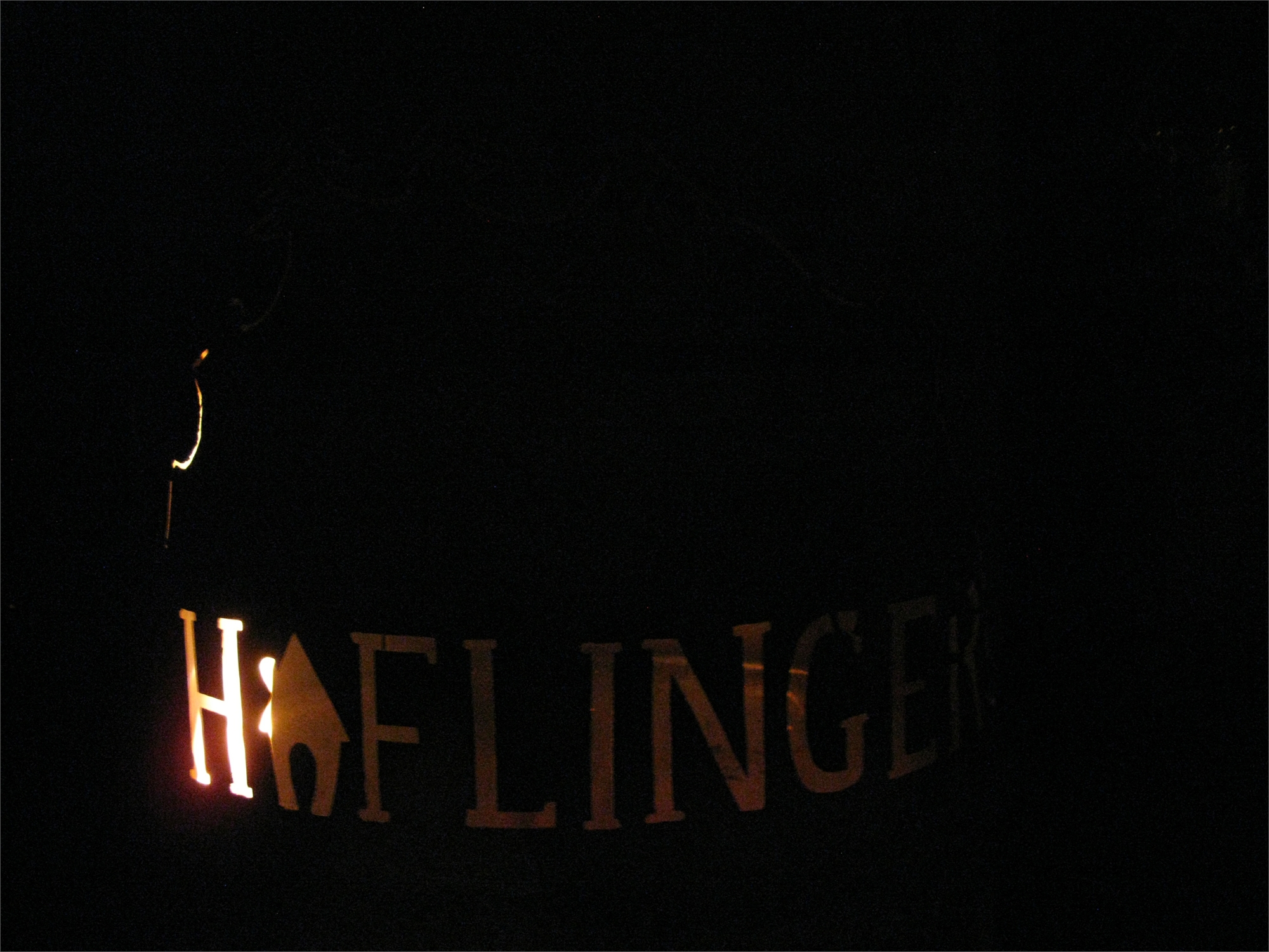 2016-haflinger-hc3bctte-43