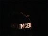 2016-haflinger-hc3bctte-35